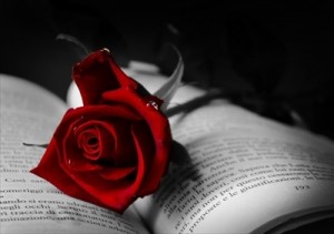 806552_635278245789334738_book-with-red-rose_400x281