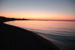 IMG_2087
