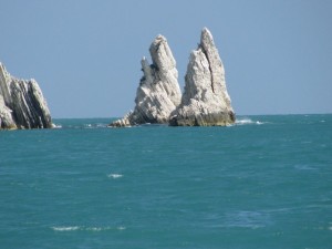 PER SITO WEB_html_4fd29914ecee669e
